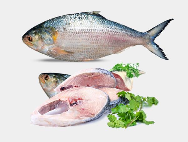 Whole Hilsa Fish - WeGotMeat- Columbus Ohio Halal Meat Delivery